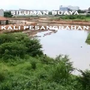 Misteri Misteri Siluman Buaya Kali Pesangrahan