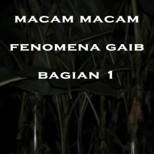 Misteri Misteri Macam Macam Fenomena Gaib Bagian 1