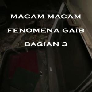 Misteri Misteri Macam Macam Fenomena Gaib Bagian 3