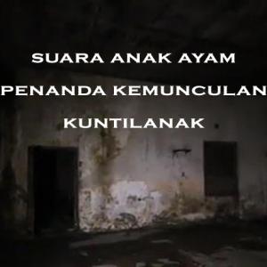 Misteri Misteri Suara Anak Ayam Penanda Kemunculan Kuntilanak Part 2