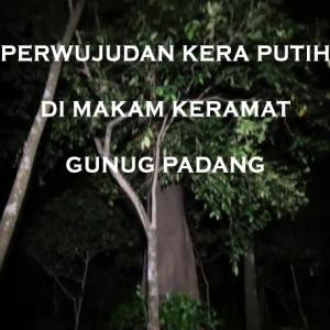 Misteri Misteri Perwujudan Kera Putih di Makam Keramat Gunung Padang Part 3
