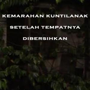 Misteri Misteri Kemarahan Kuntilanak Setelah Tempatnya Dibersihkan