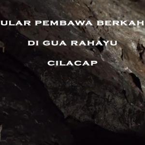 Misteri Misteri Ular Pembawa Berkah di Gua Rahayu Cilacap