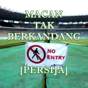 TSC Persija, Macan Tak Berkandang!
