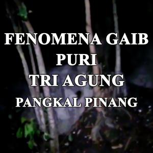 Misteri Fenomena Gaib Puri Tri Agung