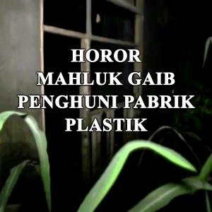 Misteri Penampakan Mahluk Gaib Penunggu Gudang Plastik