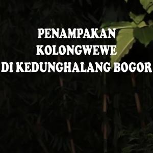 Misteri Penampakan Kolongwewe di Kedunghalang Bogor